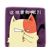 这坑爹那啊