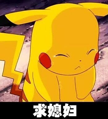 皮卡丘深情的求媳妇