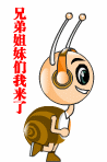 泡泡螺QQ表情