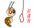 泡泡螺QQ表情