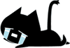 黑猫爬在地上强烈抗议