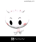 转圈圈转不停