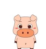 生肖乐之肉肉猪练功夫