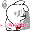 我下次再也不敢这样了