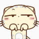 沪江网CC猫QQ表情