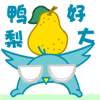 可爱的小小鸟QQ表情图片