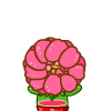 我是一朵开心的花儿