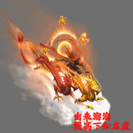 踏着巨龙出来溜溜，提高知名度