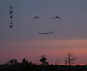 大家早上好呀