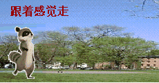 哼着小曲出来溜达