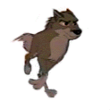 野狼狂奔而来