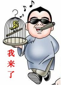玩鸟儿的家伙来了