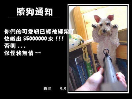 赎狗通知，你们可爱的狗已被我绑架了