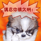 知不知道我忍你很久了