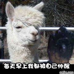 每天早上我都把自己帅醒