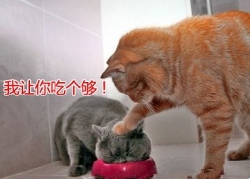 吃吧，我让你吃个够