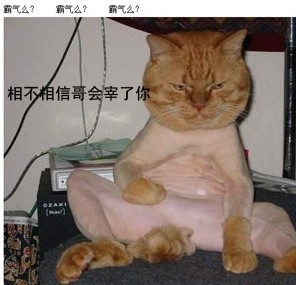 信不信哥会宰了你