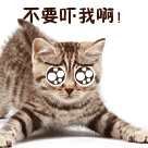 不要吓我啊，我害怕