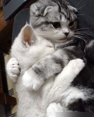 别怕，有我在这里