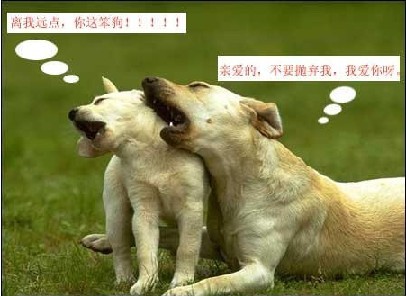 你这只笨狗，快离我远点