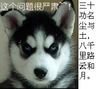 这个问题很严肃