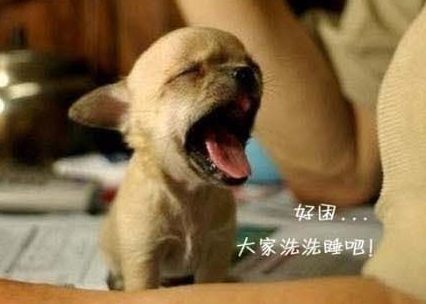好困啊，大家洗洗睡吧