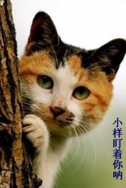 小样，我盯着你呢