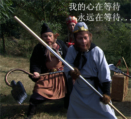我的心在等待，永远在等待