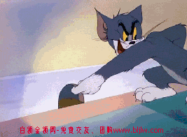 猫猫报复老鼠，让你撞死算了