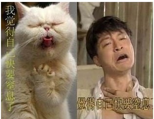 我觉得自己快要窒息了