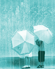 雨中的小雨伞