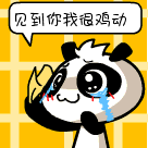 见到你我很鸡动