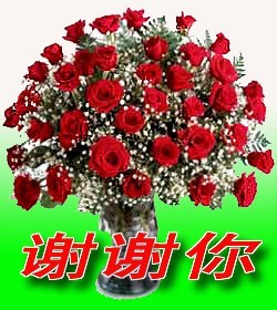 送你一束鲜花，表示感谢