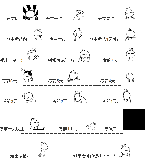 兔斯基考试的前前后后
