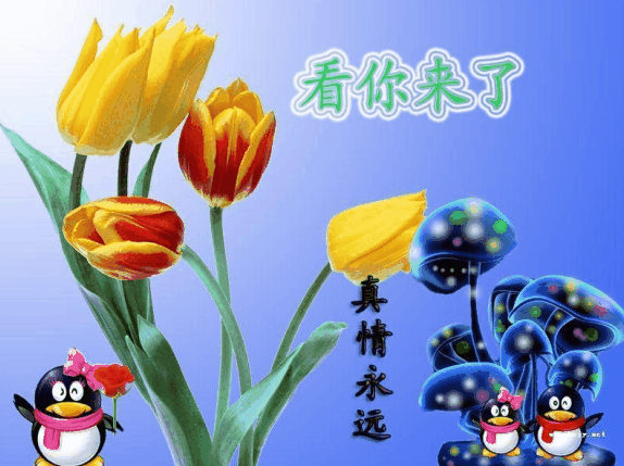 我看你来了