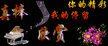 你的精彩，我的停留
