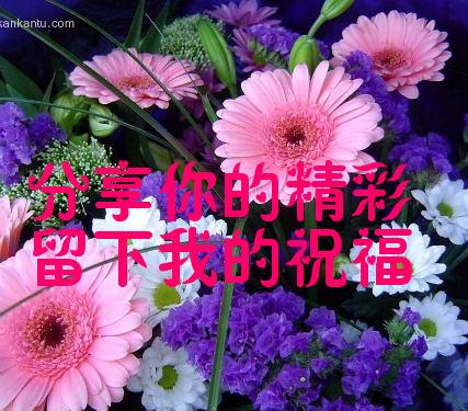 分享你的精彩，留下我的祝福