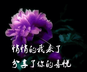 悄悄的我来了，分享你的喜悦