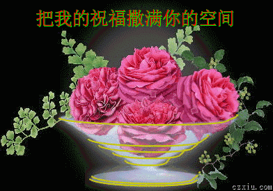 把我的祝福撒满你的空间