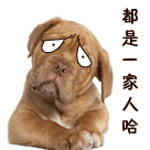我们都是一家人哈
