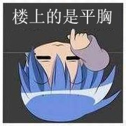 楼上的是个平胸