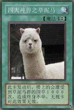 此张草泥马魔法卡可让楼上的被围草1000次