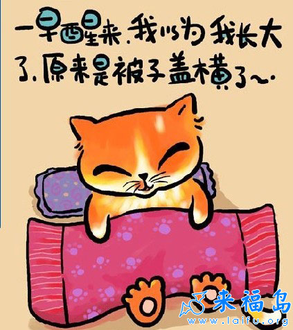 原来是被子盖横了