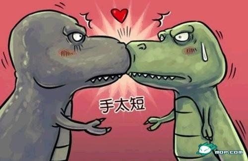 可惜手太短