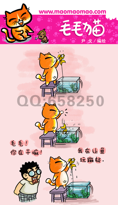 我在让鱼儿玩蹦极