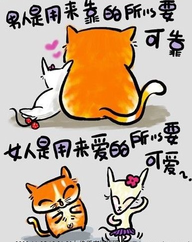 女人是用来爱的，所以要可爱