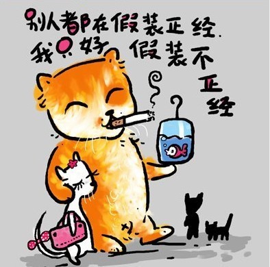 别人都在假装正经，我只好假装不正经