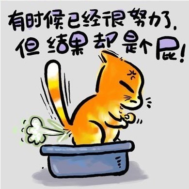 有时候已经很努力了，但结果却是个屁