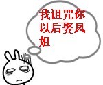我诅咒你以后娶凤姐