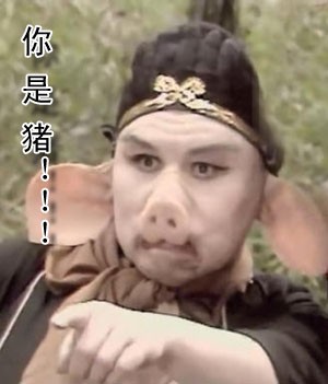 指着人骂，你是猪
